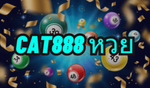 cat888 หวย